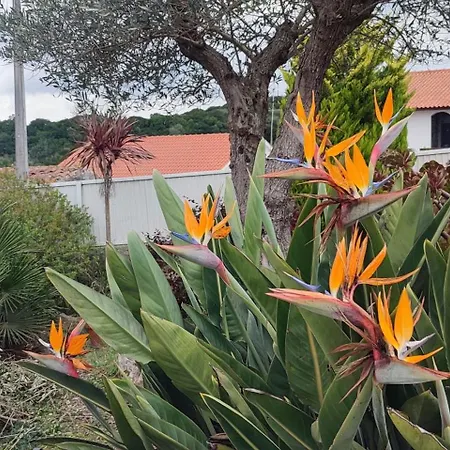 'kairos 5p Family Casa'